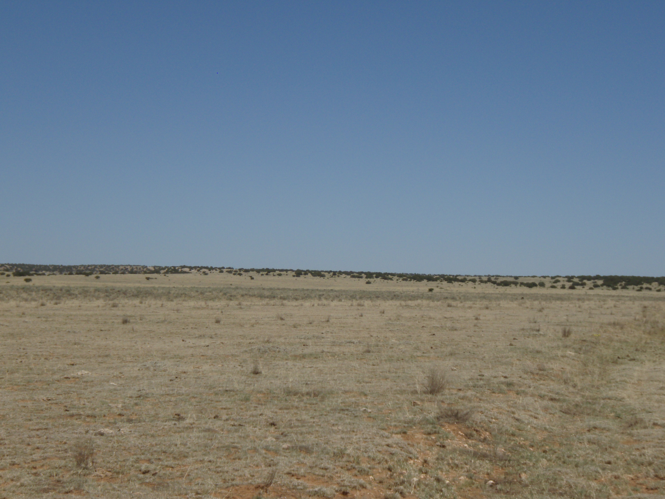 ESTANCIA VALLEY RANCHETTES land for sale